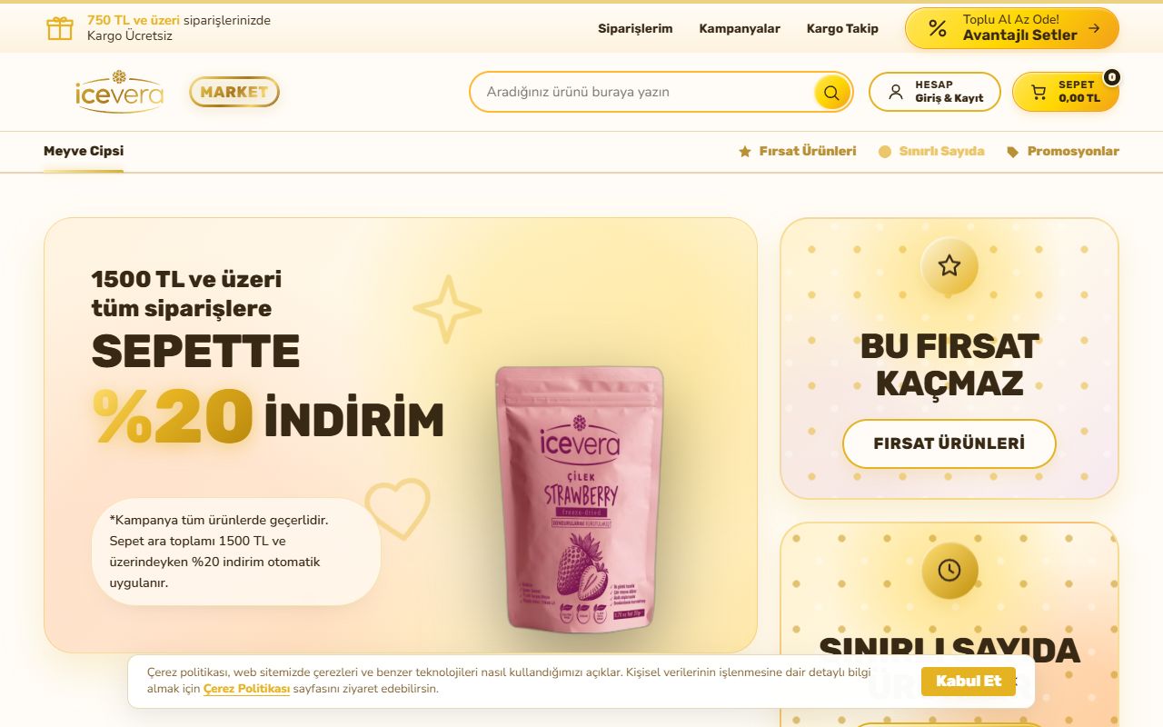 icevera web sitesi ekran görüntüsü